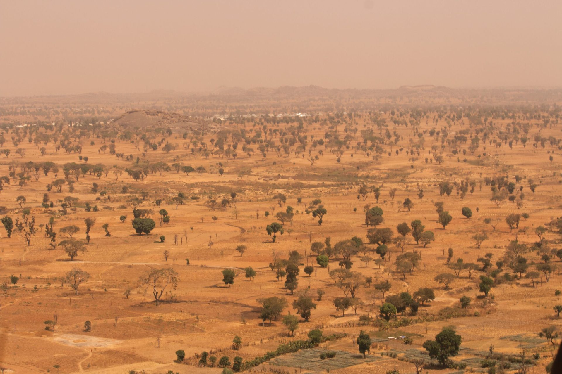 Paysage aride aux abords de Niamey