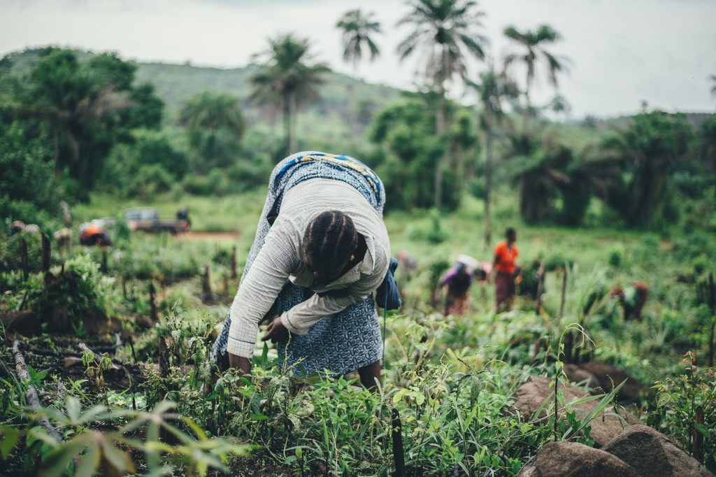 Femme plantant dans un champ, avec d'autres habitants en arrière-plan